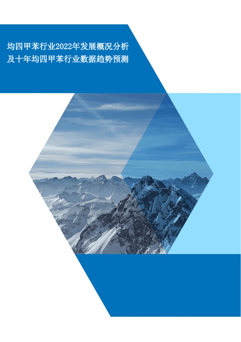 均四甲苯行業(yè)2022年發(fā)展概況分析及未來十年均四甲苯行業(yè)數(shù)據(jù)趨勢預(yù)測.docx